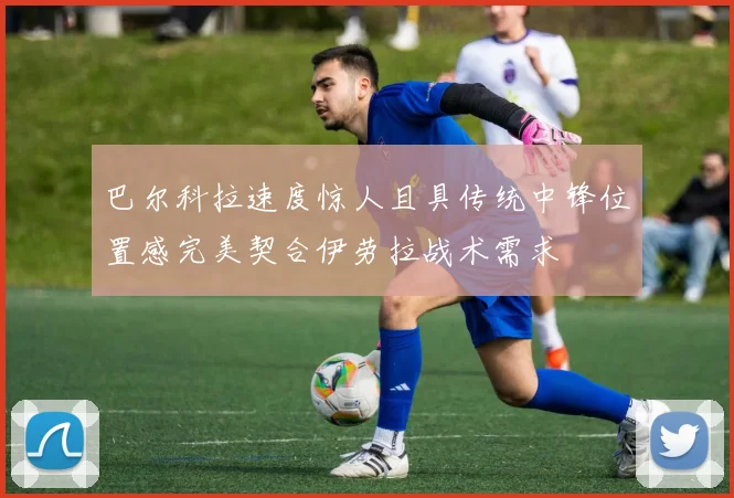 巴尔科拉速度惊人且具传统中锋位置感完美契合伊劳拉战术需求